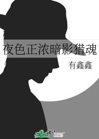 夜色正浓暗影猎魂封面