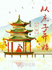 红楼从庶子开始封面