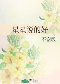 星星说的好封面
