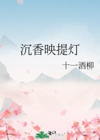 沈香映提灯封面