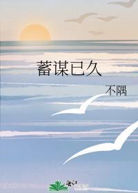 蓄谋已久封面