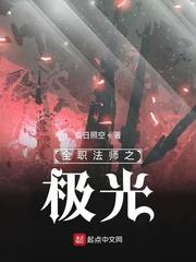 全职法师之极光封面