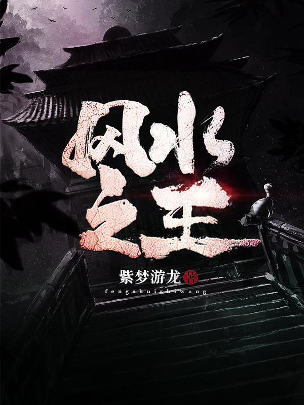 风水之王封面