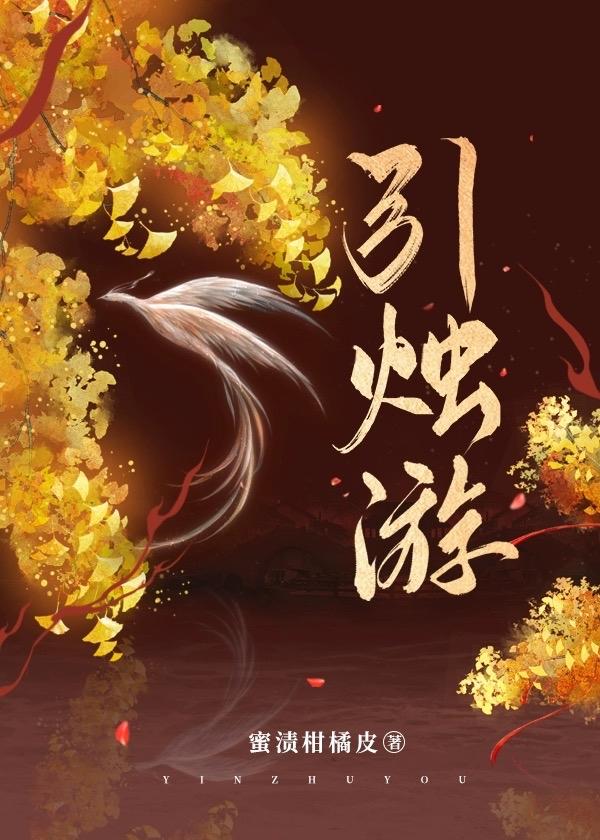 引烛游封面