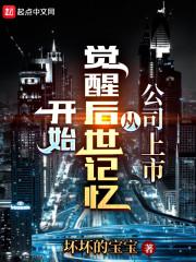 公司上市从觉醒后世记忆开始封面