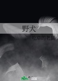 野犬封面