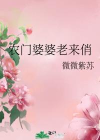 农门婆婆老来俏封面