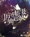重生厉爷娇妻她超飒封面