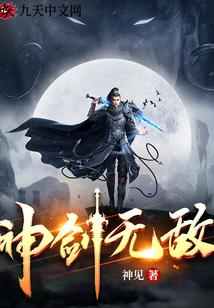 神剑无敌封面