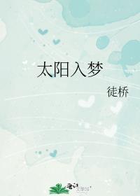 太阳入梦封面