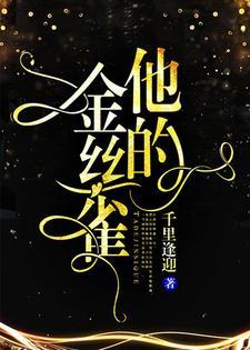他的金丝雀封面