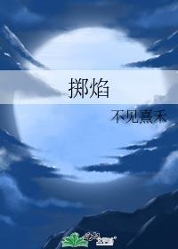 掷焰封面