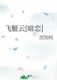 飞艇云[暗恋]封面
