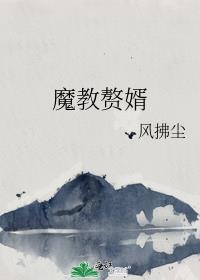 魔教赘婿封面