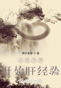 华娱之风起2005封面
