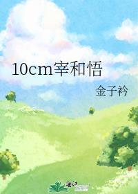 10cm宰和悟封面