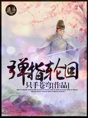 弹指轮回封面