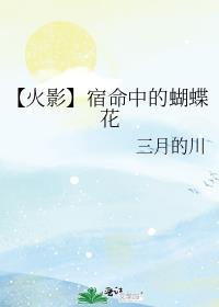 【火影】宿命中的蝴蝶花封面