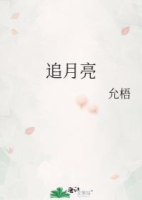 追月亮封面