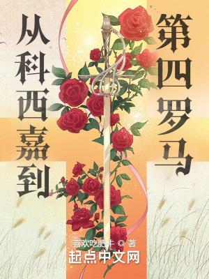 孤非良臣封面