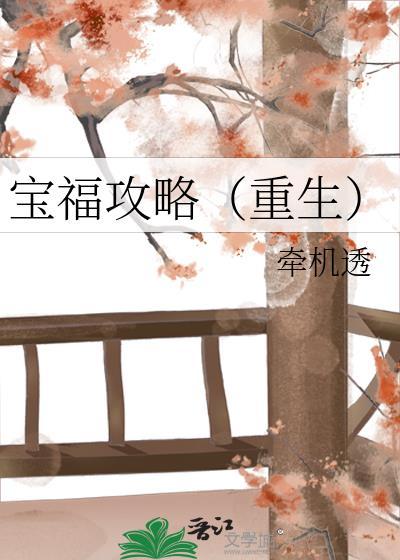 宝福攻略（重生）封面
