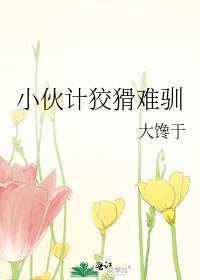 小伙计狡猾难驯封面