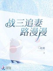 战三追妻路漫漫封面