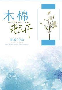 木棉花已开封面