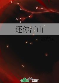 还你江山封面