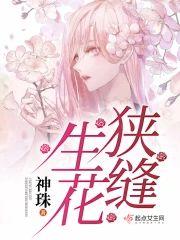 狭缝生花封面
