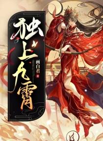 独上九霄封面