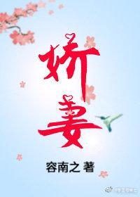 娇妻封面