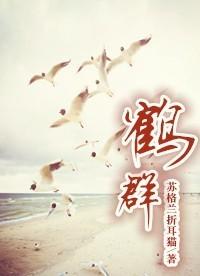 鹤群封面