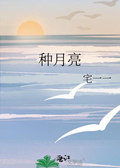 种月亮封面