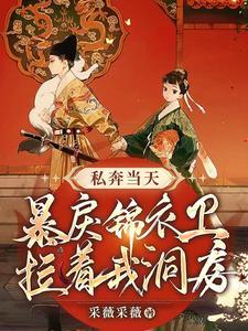 私奔当天，暴戾锦衣卫拉着我洞房封面