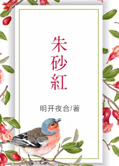 朱砂红封面