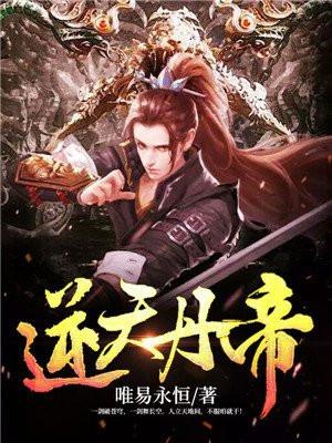 逆天丹帝封面