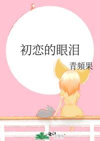 初恋的眼泪封面