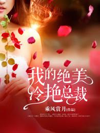 我的绝美冷艳总裁封面