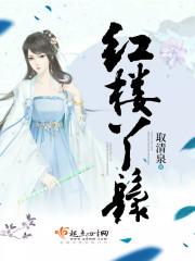 红楼丫鬟封面