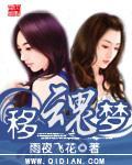 移魂梦封面