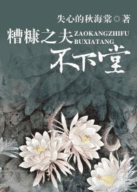 糟糠之夫不下堂封面
