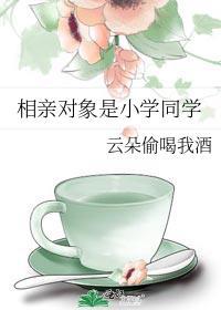 相亲对象是小学同学封面