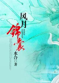 风月锦囊封面