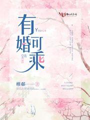 有婚可乘封面