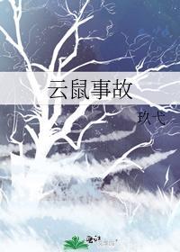 云鼠事故封面