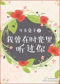 我曾在时光里听过你封面