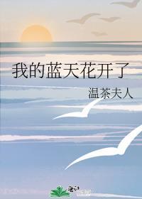 我的蓝天花开了封面
