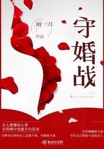 守婚战封面