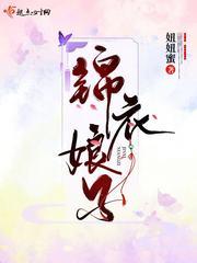 锦衣娘子封面